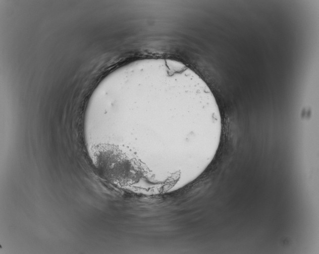 X0000110901009200907161546