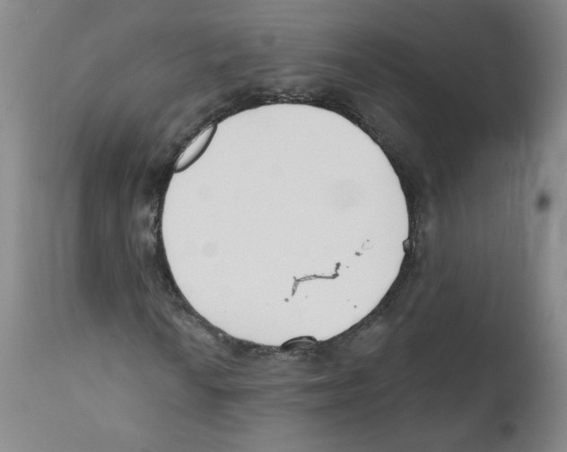 X0000110901010200907161546