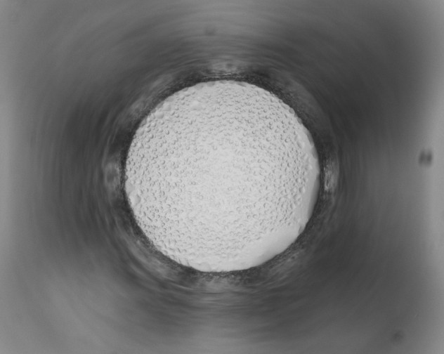 X0000110901011200907161546