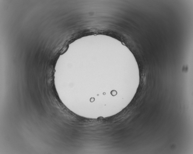 X0000110901012200907161546