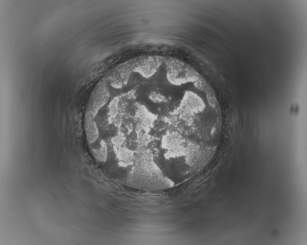 X0000110901013200907161546