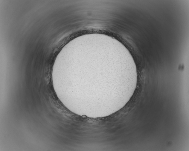 X0000110901015200907161546