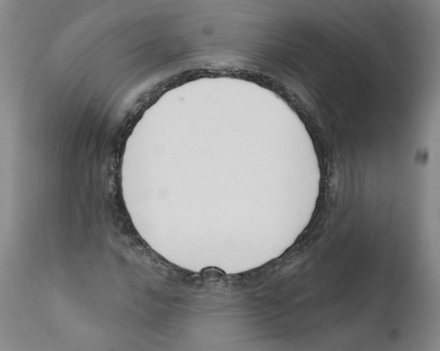 X0000110901016200907161546