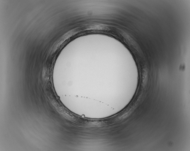 X0000110901017200907161546