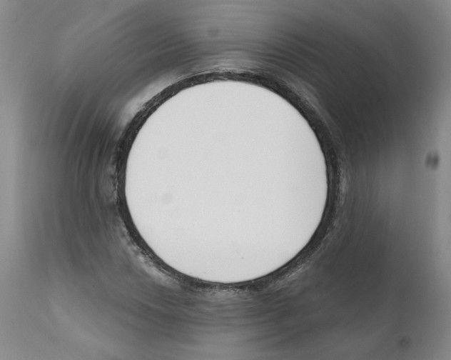 X0000110901018200907161546