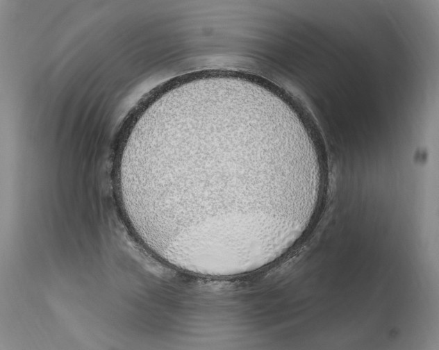 X0000110901019200907161546