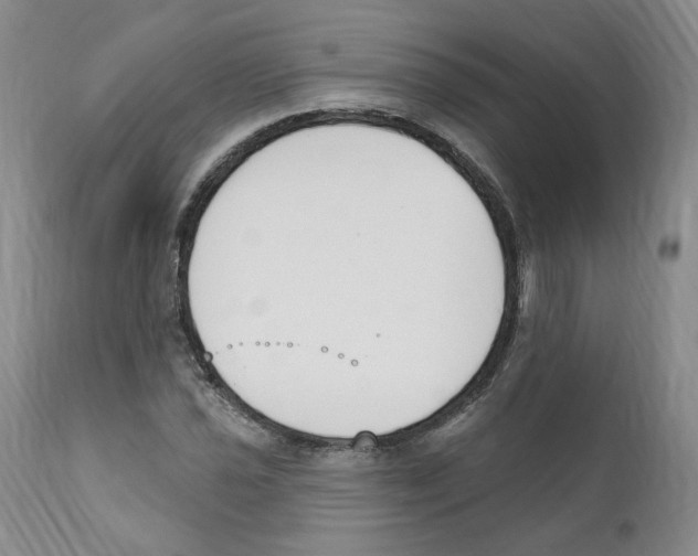 X0000110901021200907161546