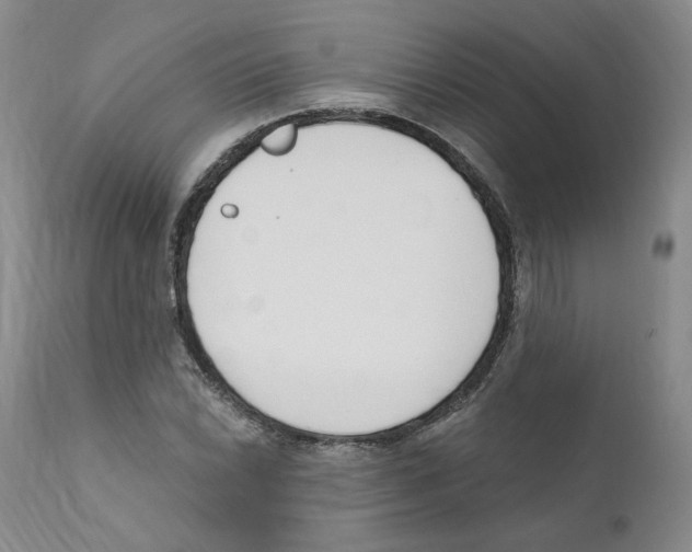 X0000110901022200907161546