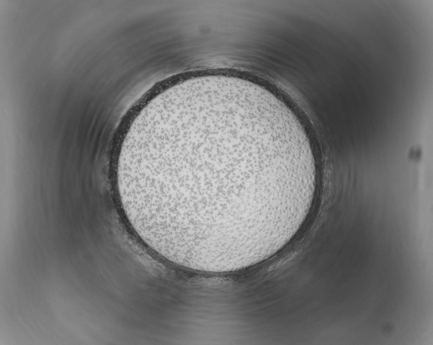 X0000110901023200907161546