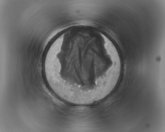 X0000110901024200907161546