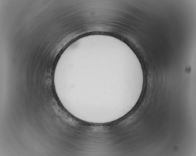 X0000110901025200907161546