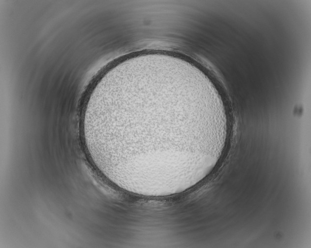 X0000110901027200907161546