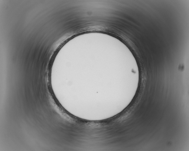 X0000110901034200907161546