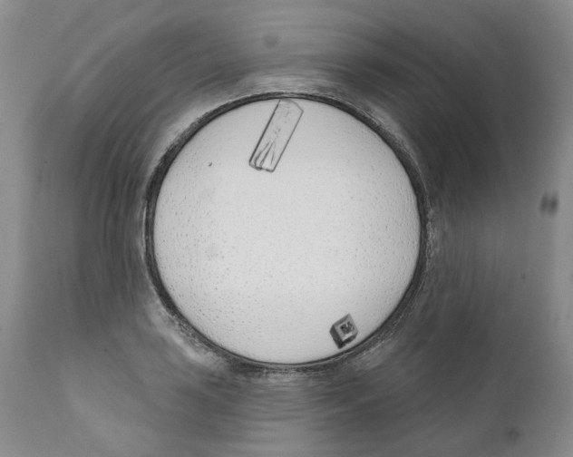 X0000110901035200907161546