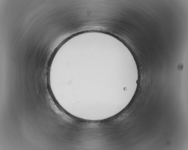 X0000110901038200907161546