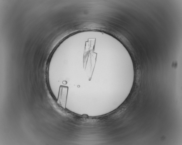 X0000110901039200907161546