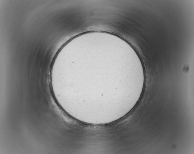 X0000110901040200907161546