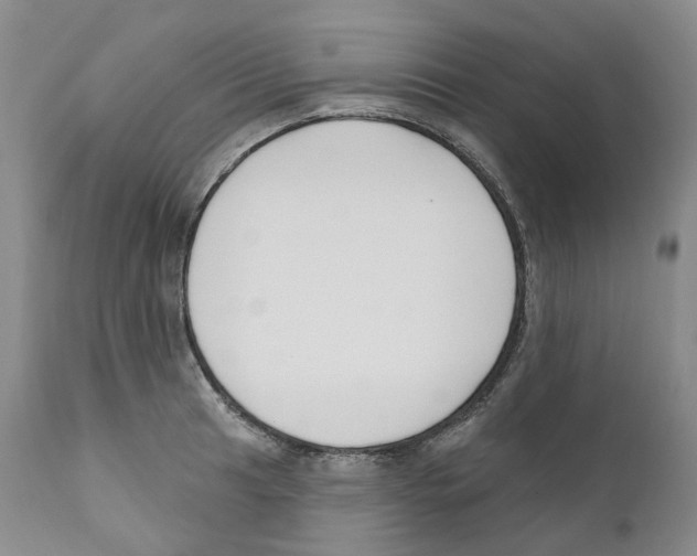 X0000110901041200907161546