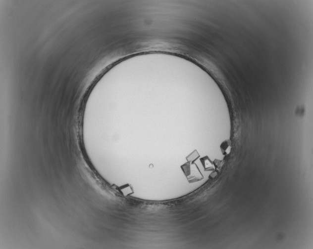 X0000110901043200907161546