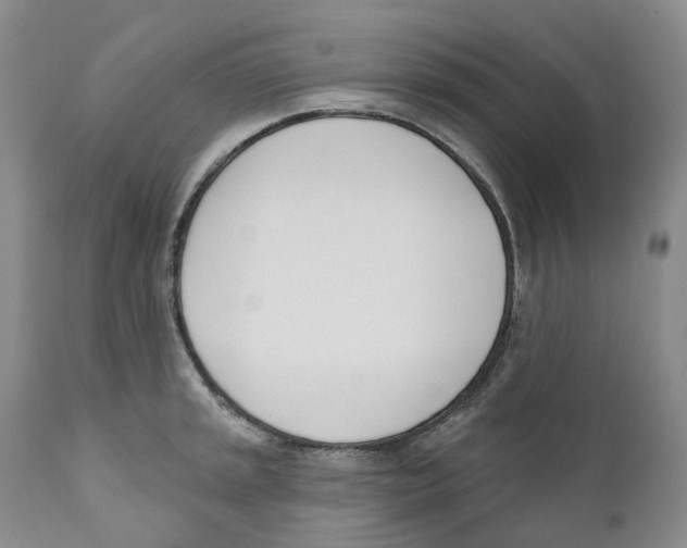 X0000110901045200907161546