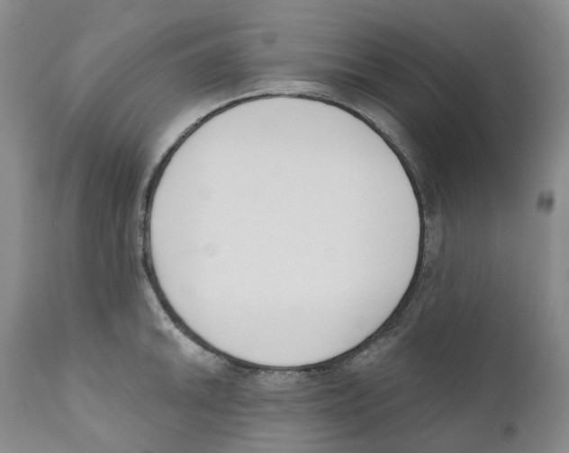 X0000110901046200907161546