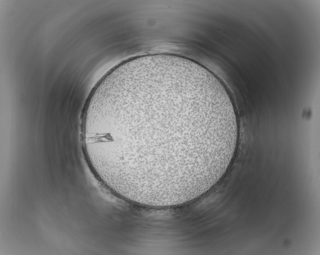 X0000110901047200907161546