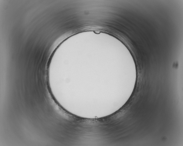 X0000110901050200907161546