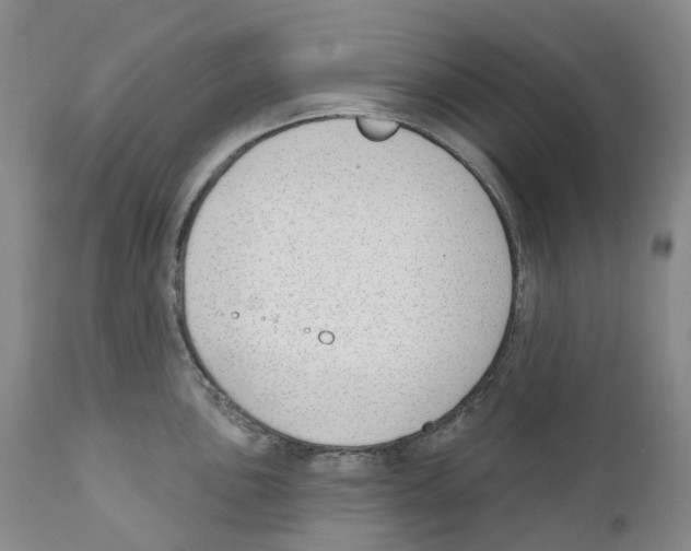 X0000110901051200907161546