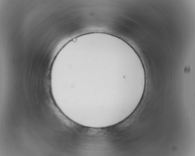 X0000110901056200907161546