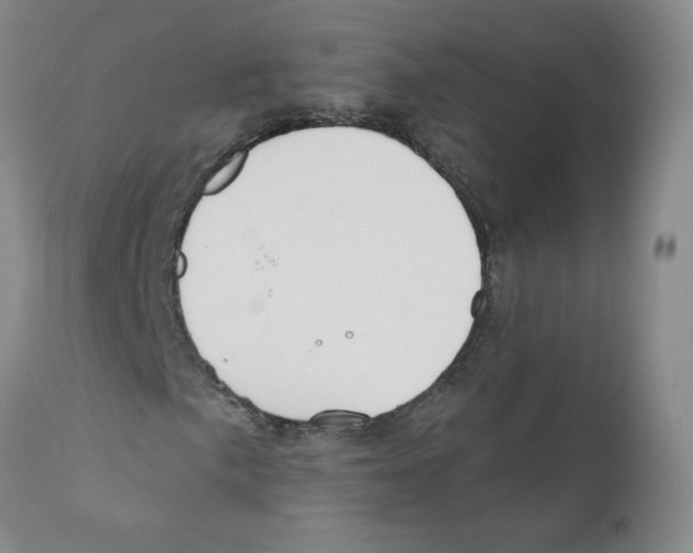 X0000110901057200907161546