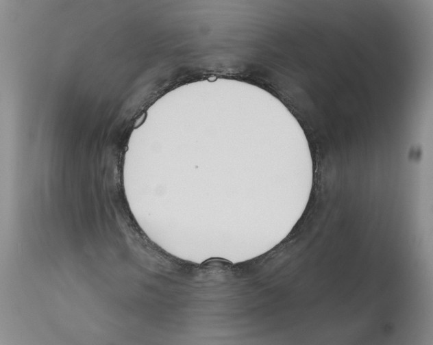 X0000110901058200907161546