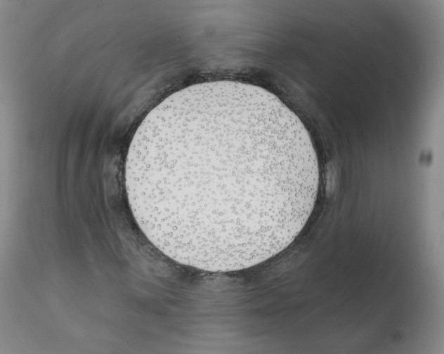 X0000110901059200907161546