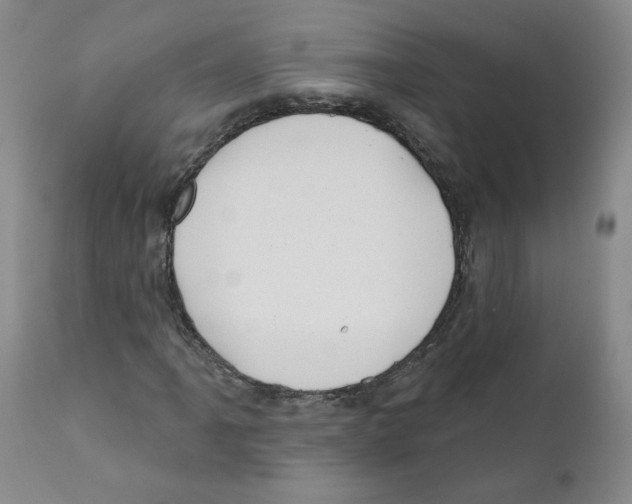 X0000110901061200907161546