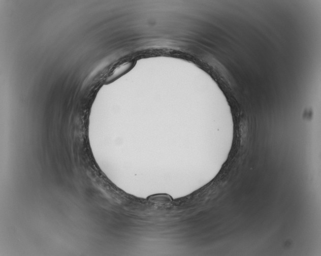 X0000110901064200907161546