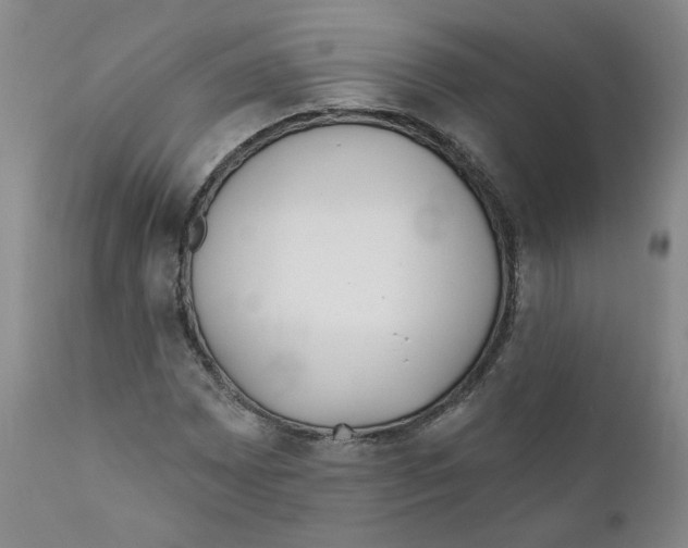 X0000110901065200907161546