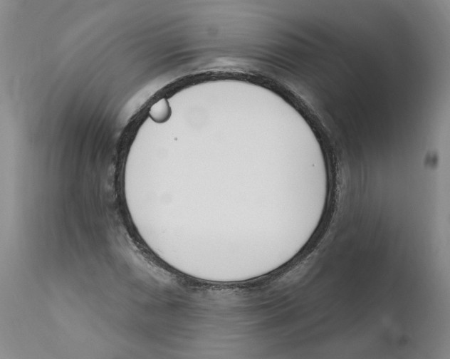 X0000110901066200907161546