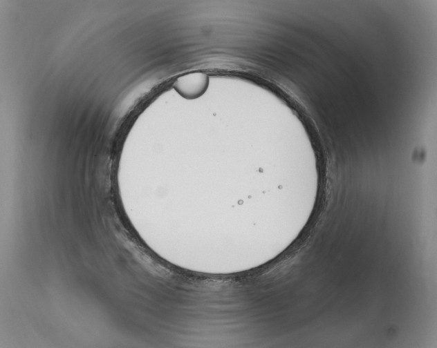 X0000110901067200907161545