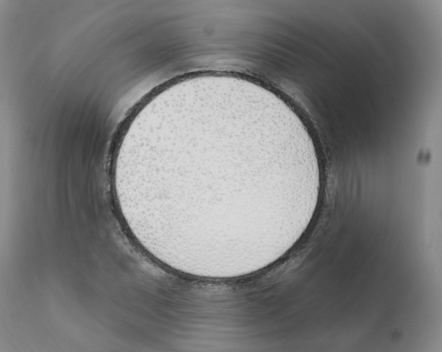 X0000110901071200907161545