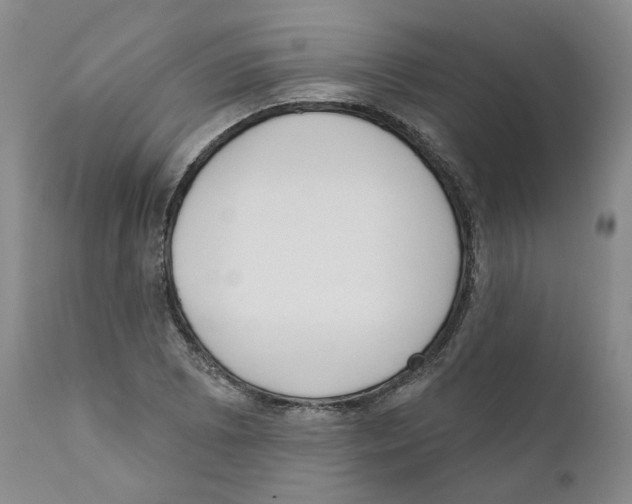 X0000110901073200907161545