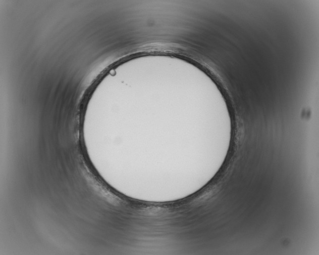 X0000110901075200907161545