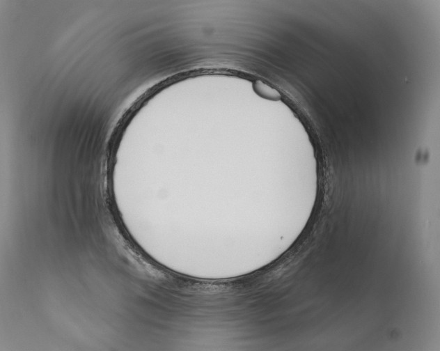 X0000110901076200907161545