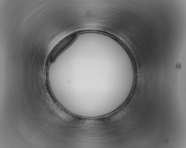 X0000110901077200907161545