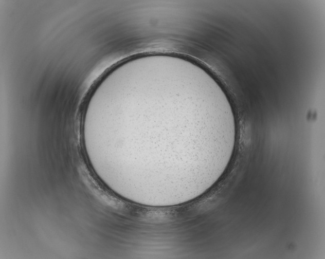 X0000110901078200907161545