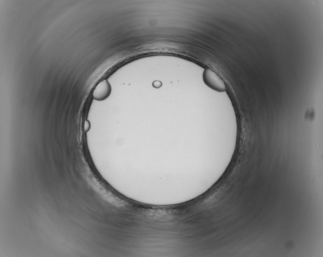 X0000110901082200907161545