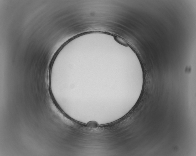 X0000110901084200907161545