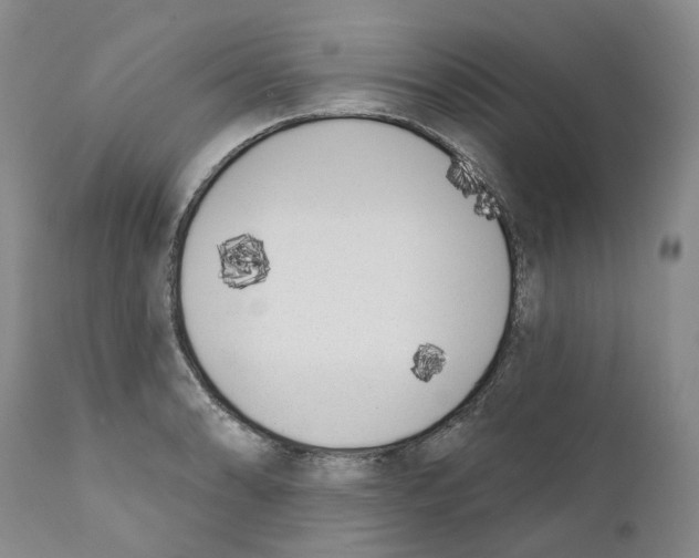 X0000110901086200907161545