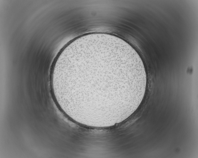 X0000110901087200907161545