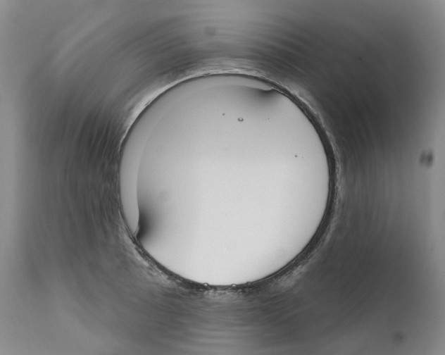 X0000110901089200907161545