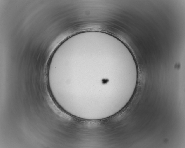 X0000110901090200907161545