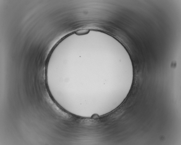 X0000110901092200907161545